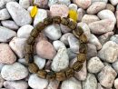Wild Agarwood Bracelet - Lu Thong Bracelet