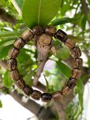 Wild Agarwood Bracelet - Lu Thong Bracelet