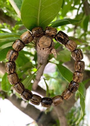 Wild Agarwood Bracelet - Lu Thong Bracelet