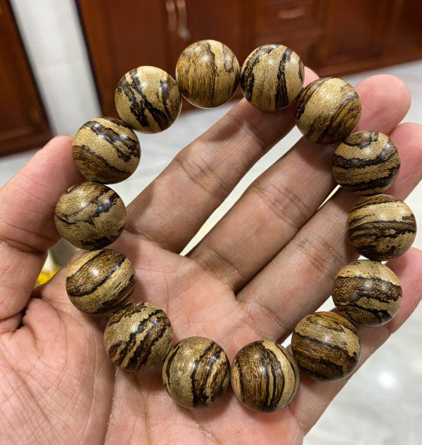 Indonesia Kalimantan Agarwood Original Natural - Borneo Island Agarwood - Super Grade - 图片 2