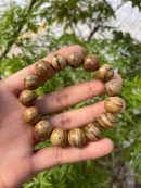 Indonesia Kalimantan Agarwood Original Natural - Borneo Island Agarwood - Super Grade