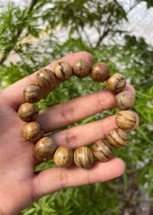 Indonesia Kalimantan Agarwood Original Natural - Borneo Island Agarwood - Super Grade