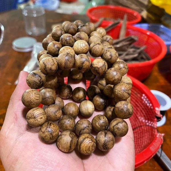 Indonesia Kalimantan Agarwood Original Natural - Borneo Island Agarwood - Super Grade - 图片 3