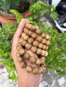 Indonesia Kalimantan Agarwood Original Natural - Borneo Island Agarwood - Super Grade